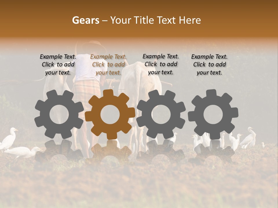 Ocean Morning Arable Land PowerPoint Template