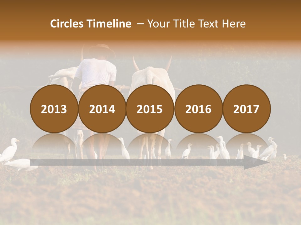 Ocean Morning Arable Land PowerPoint Template