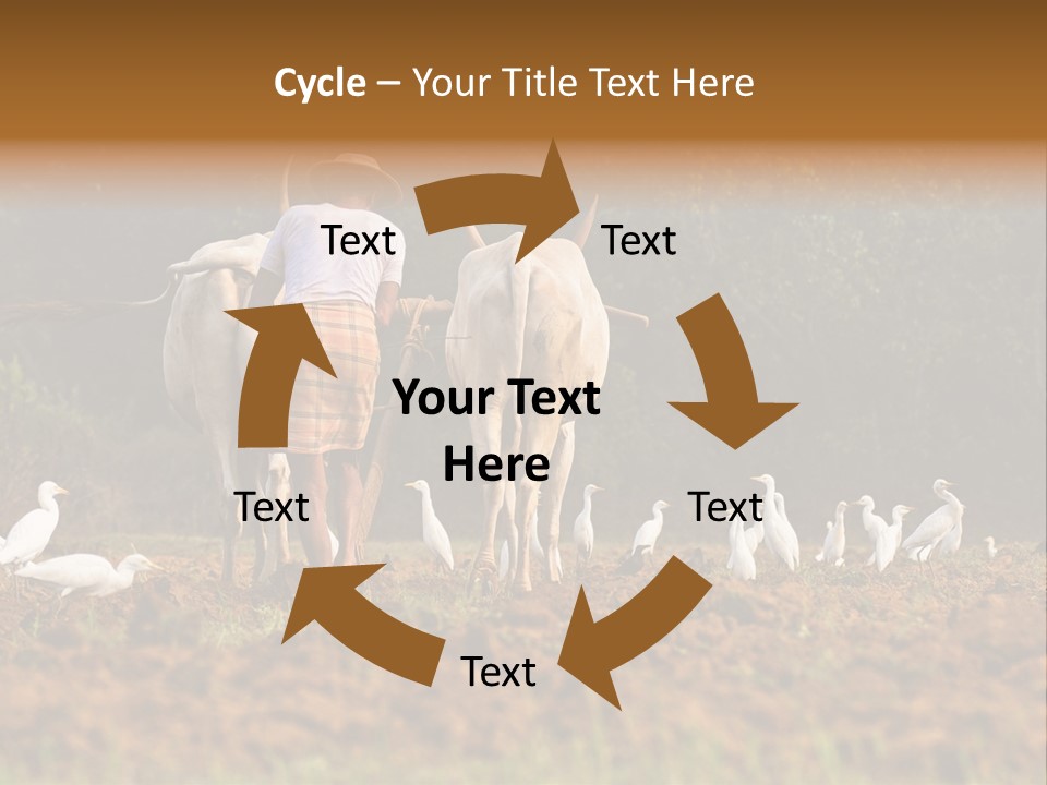 Ocean Morning Arable Land PowerPoint Template