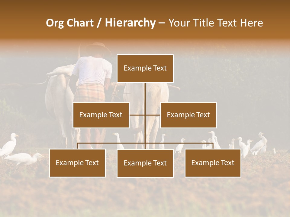 Ocean Morning Arable Land PowerPoint Template