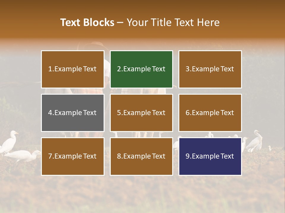 Ocean Morning Arable Land PowerPoint Template