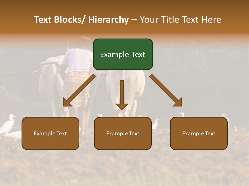 Ocean Morning Arable Land PowerPoint Template