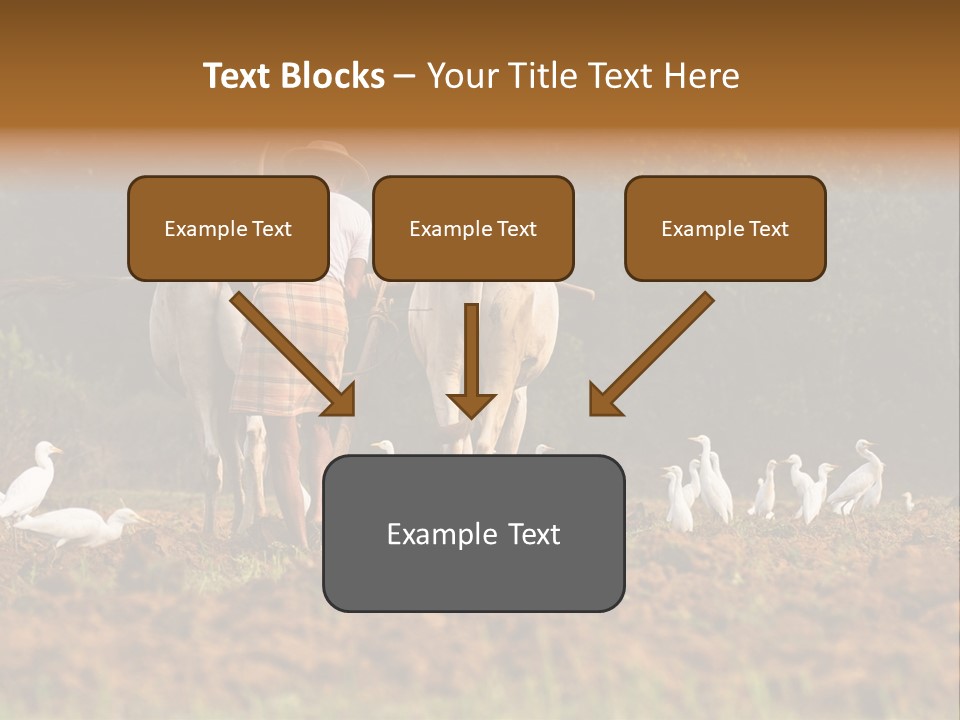 Ocean Morning Arable Land PowerPoint Template