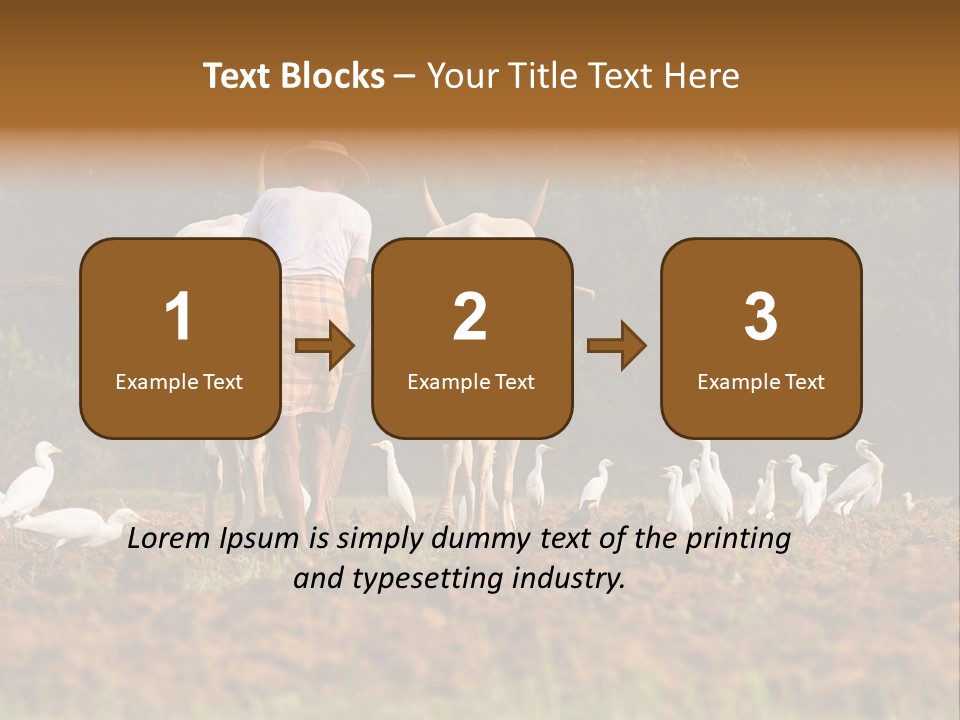 Ocean Morning Arable Land PowerPoint Template