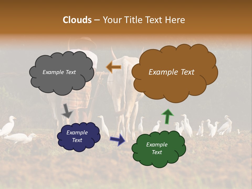 Ocean Morning Arable Land PowerPoint Template