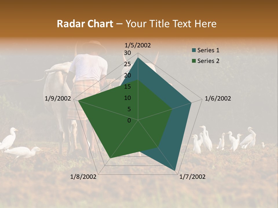 Ocean Morning Arable Land PowerPoint Template