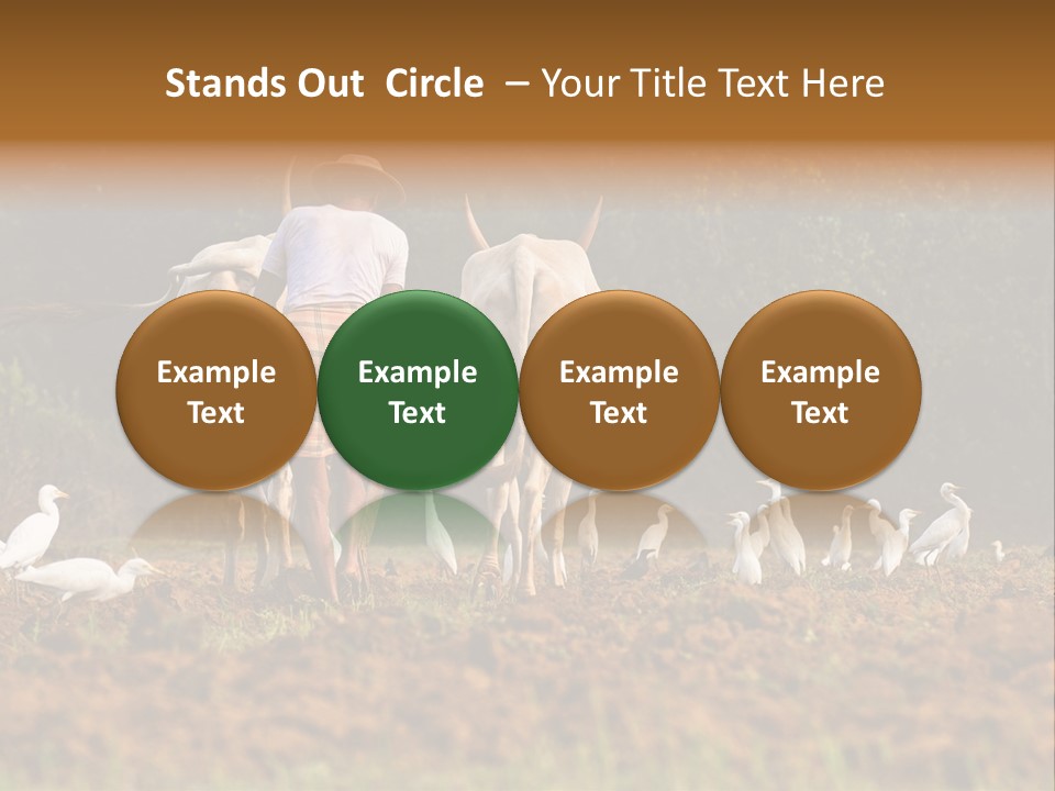 Ocean Morning Arable Land PowerPoint Template