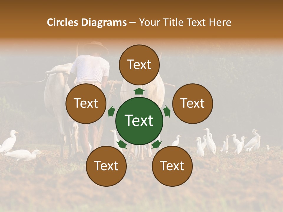 Ocean Morning Arable Land PowerPoint Template