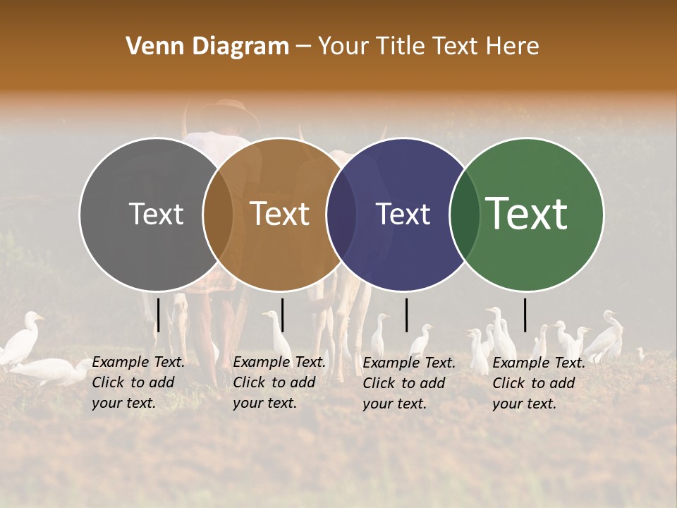 Ocean Morning Arable Land PowerPoint Template