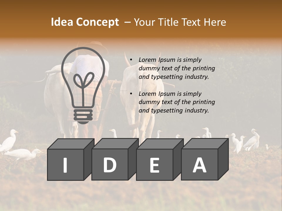 Ocean Morning Arable Land PowerPoint Template