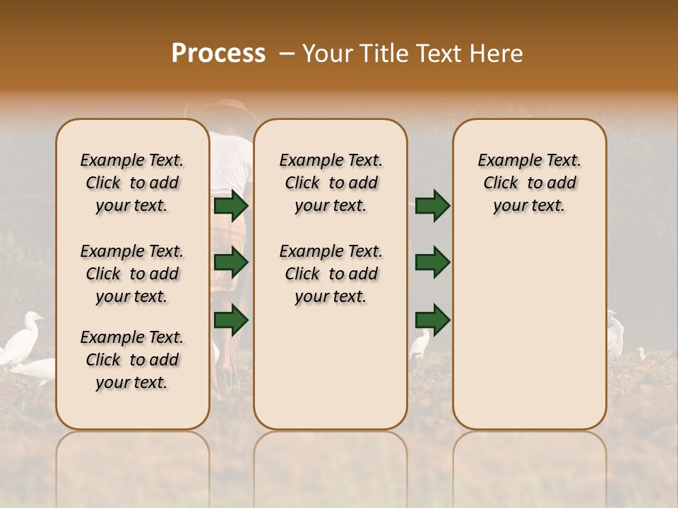 Ocean Morning Arable Land PowerPoint Template