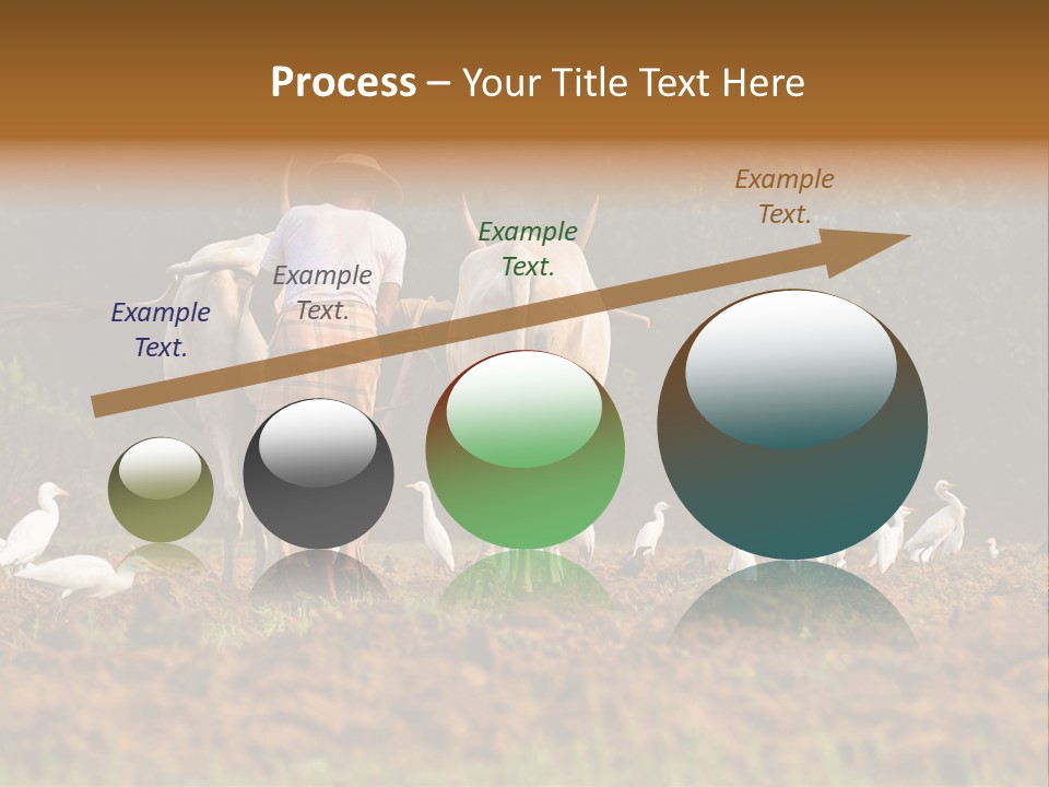 Ocean Morning Arable Land PowerPoint Template