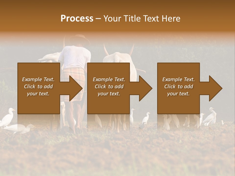 Ocean Morning Arable Land PowerPoint Template