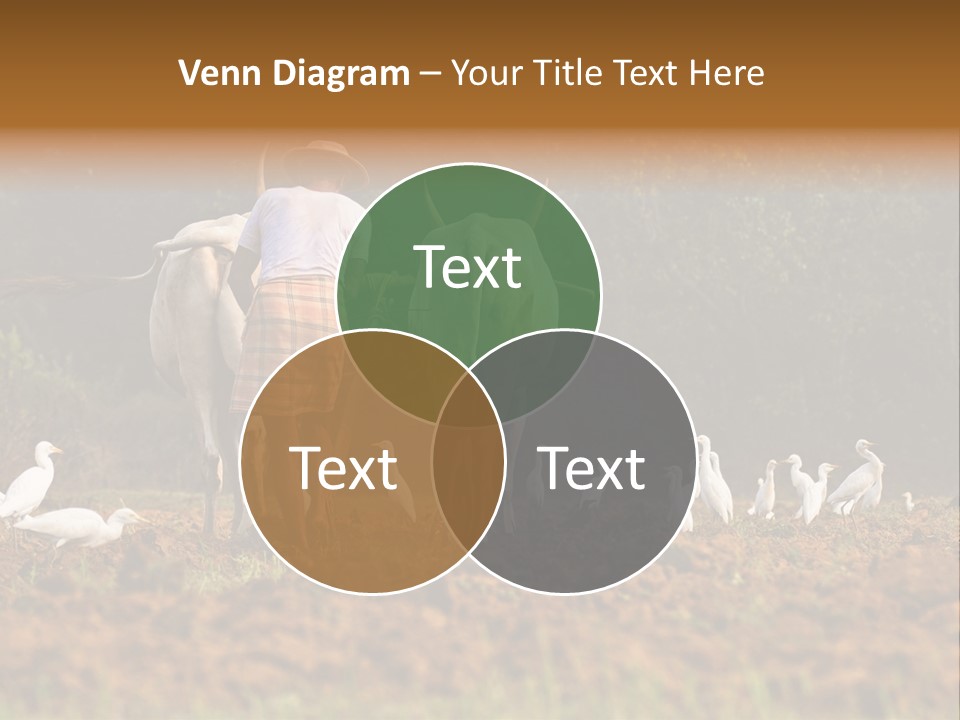 Ocean Morning Arable Land PowerPoint Template