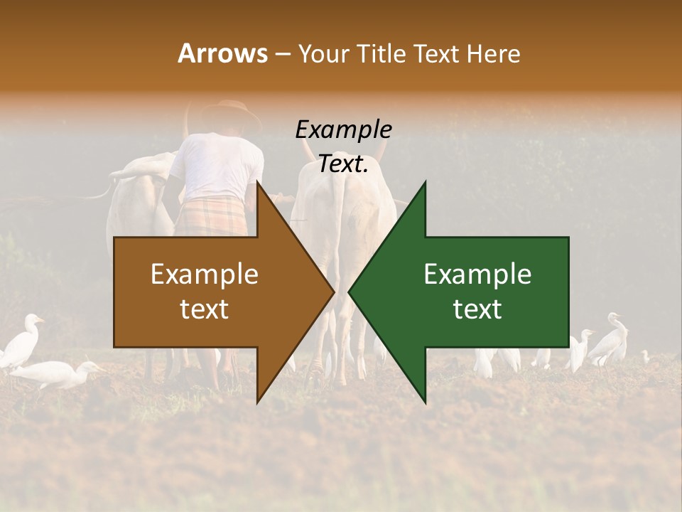 Ocean Morning Arable Land PowerPoint Template