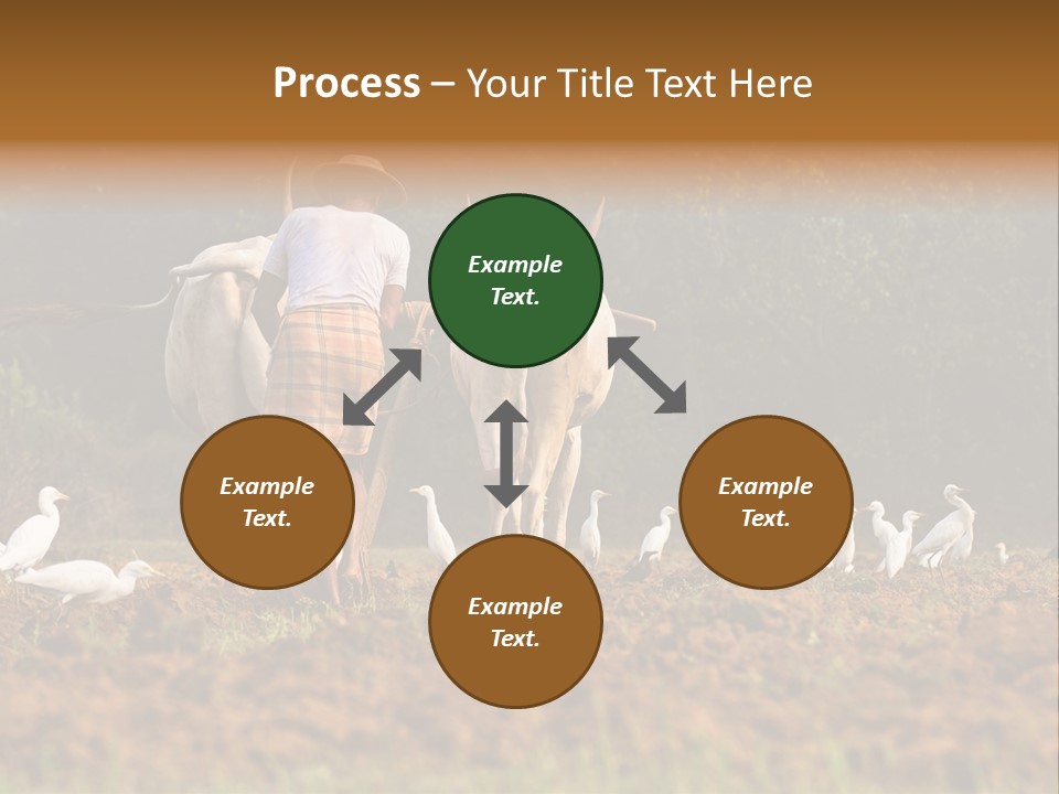 Ocean Morning Arable Land PowerPoint Template