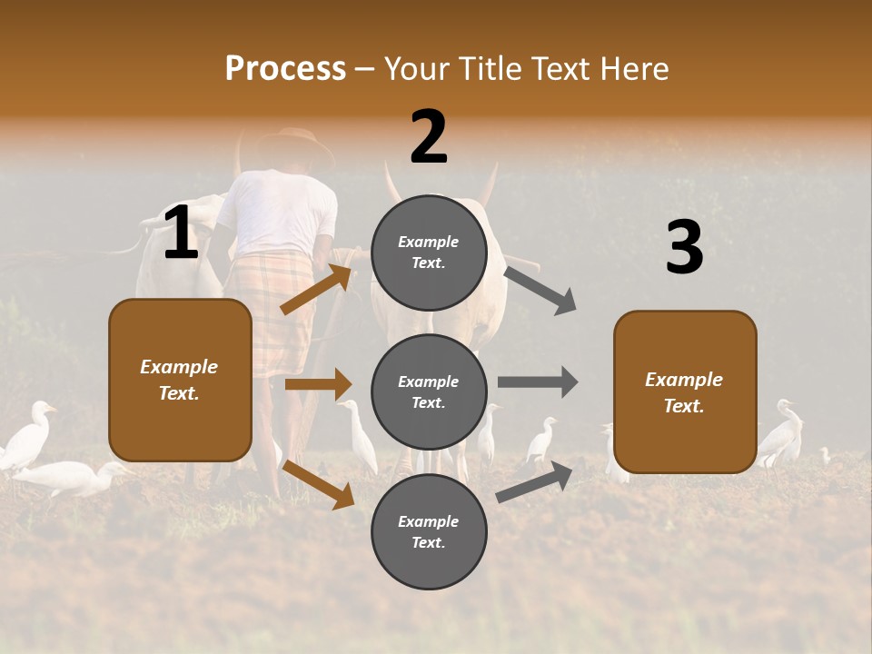 Ocean Morning Arable Land PowerPoint Template