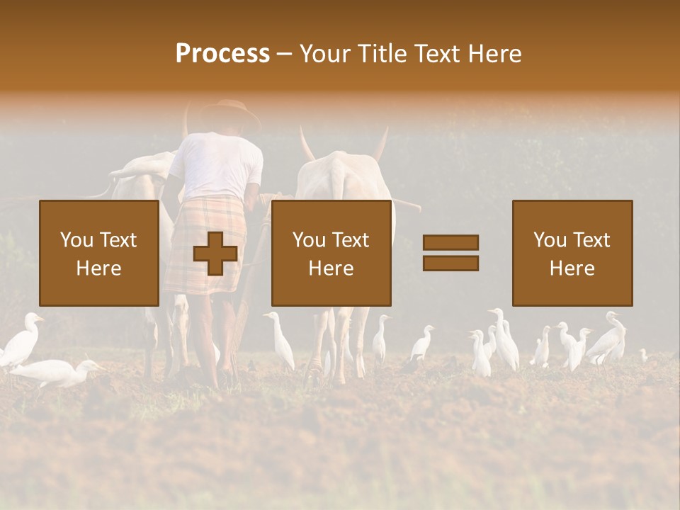 Ocean Morning Arable Land PowerPoint Template