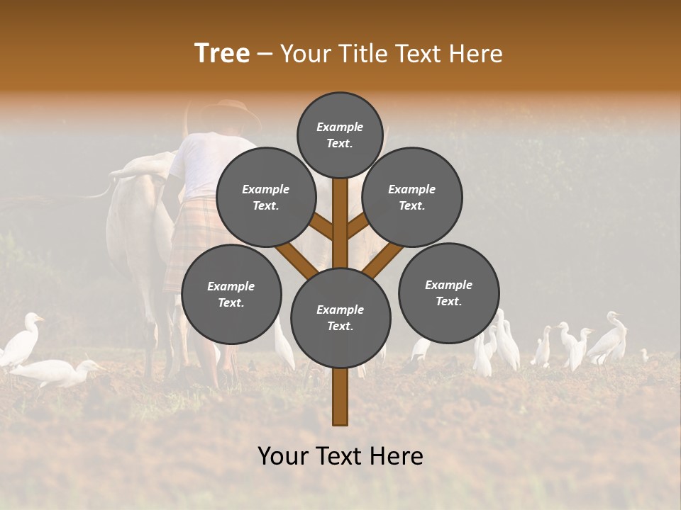 Ocean Morning Arable Land PowerPoint Template