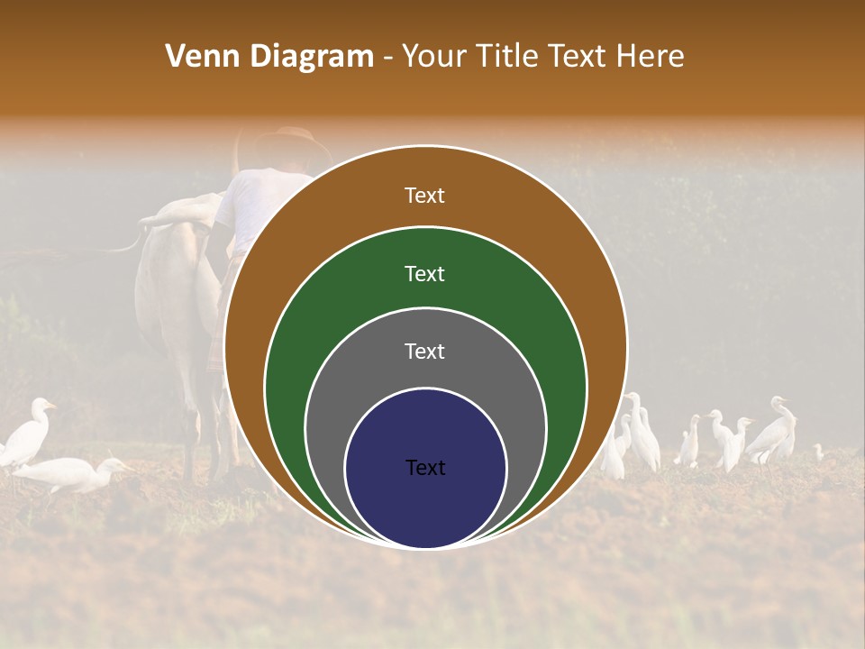 Ocean Morning Arable Land PowerPoint Template