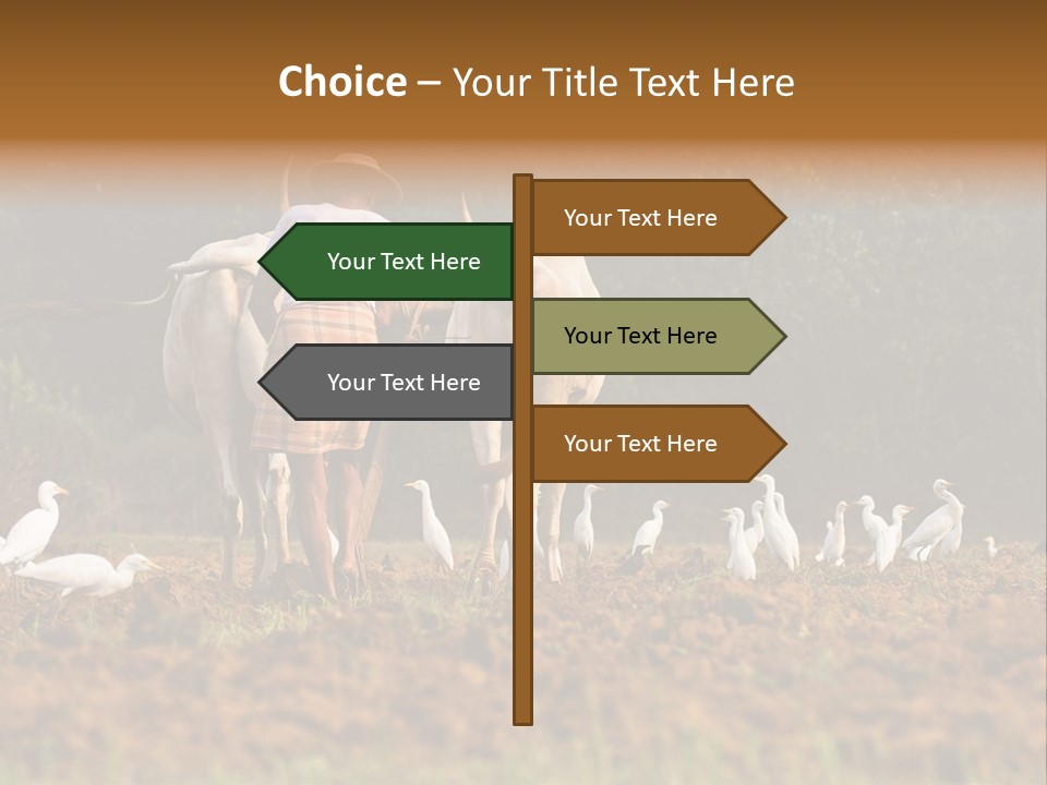 Ocean Morning Arable Land PowerPoint Template