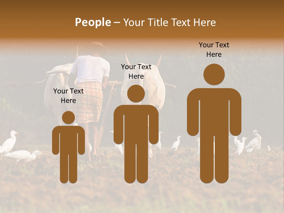 Ocean Morning Arable Land PowerPoint Template