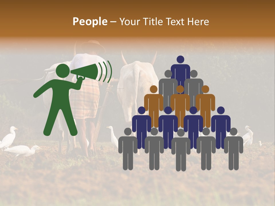 Ocean Morning Arable Land PowerPoint Template