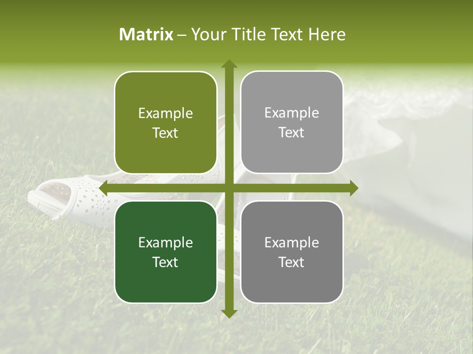 Roses Girl White PowerPoint Template