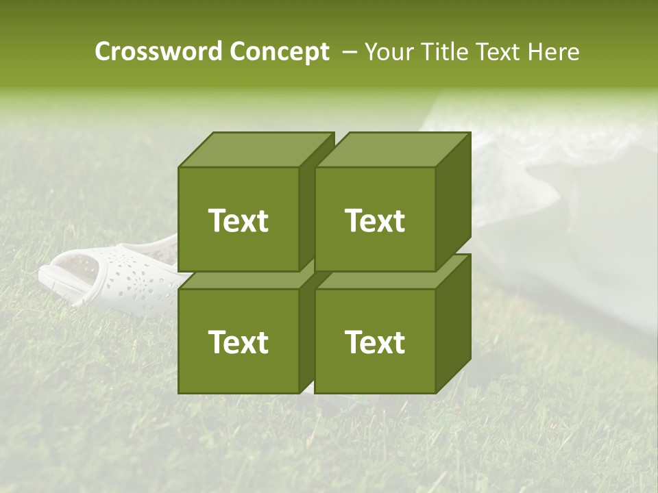 Roses Girl White PowerPoint Template