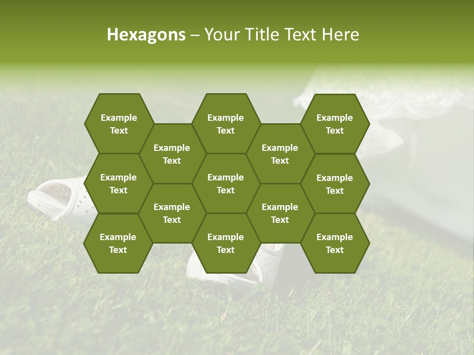 Roses Girl White PowerPoint Template