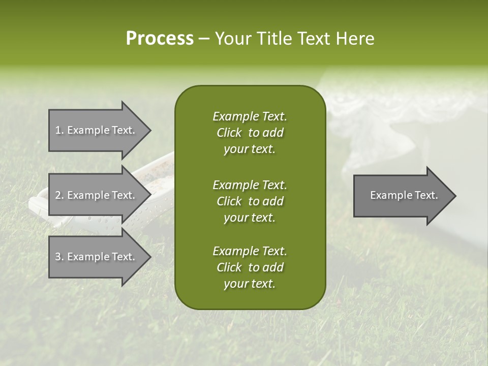 Roses Girl White PowerPoint Template