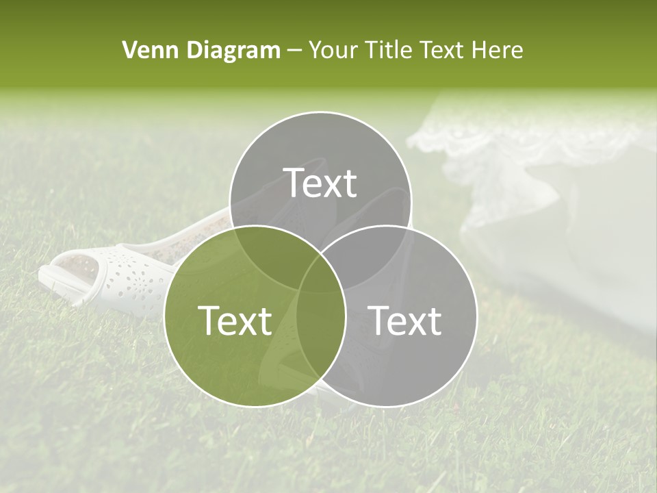 Roses Girl White PowerPoint Template