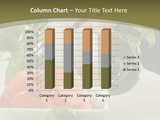 Oliwa Posi Przygotowanie PowerPoint Template