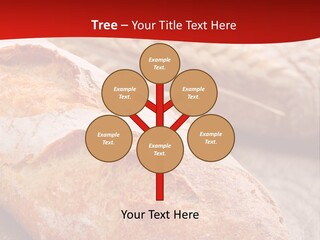 Wheat Baguette Beautiful PowerPoint Template
