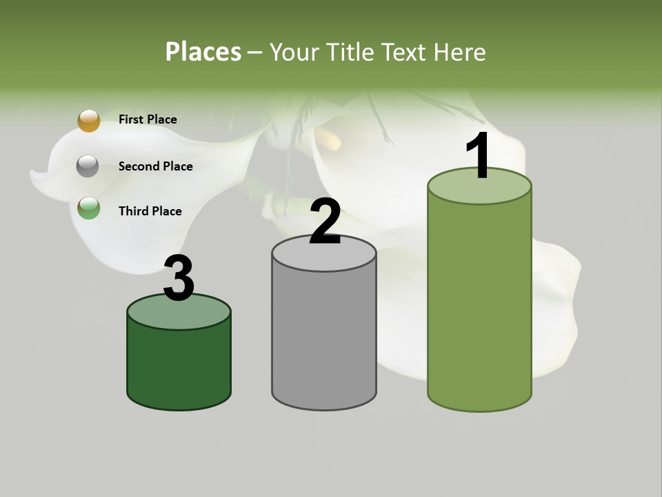 Callas Pflanze Weiss PowerPoint Template