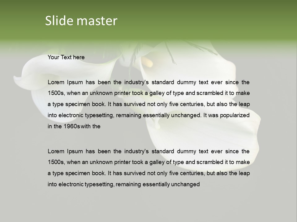 Callas Pflanze Weiss PowerPoint Template