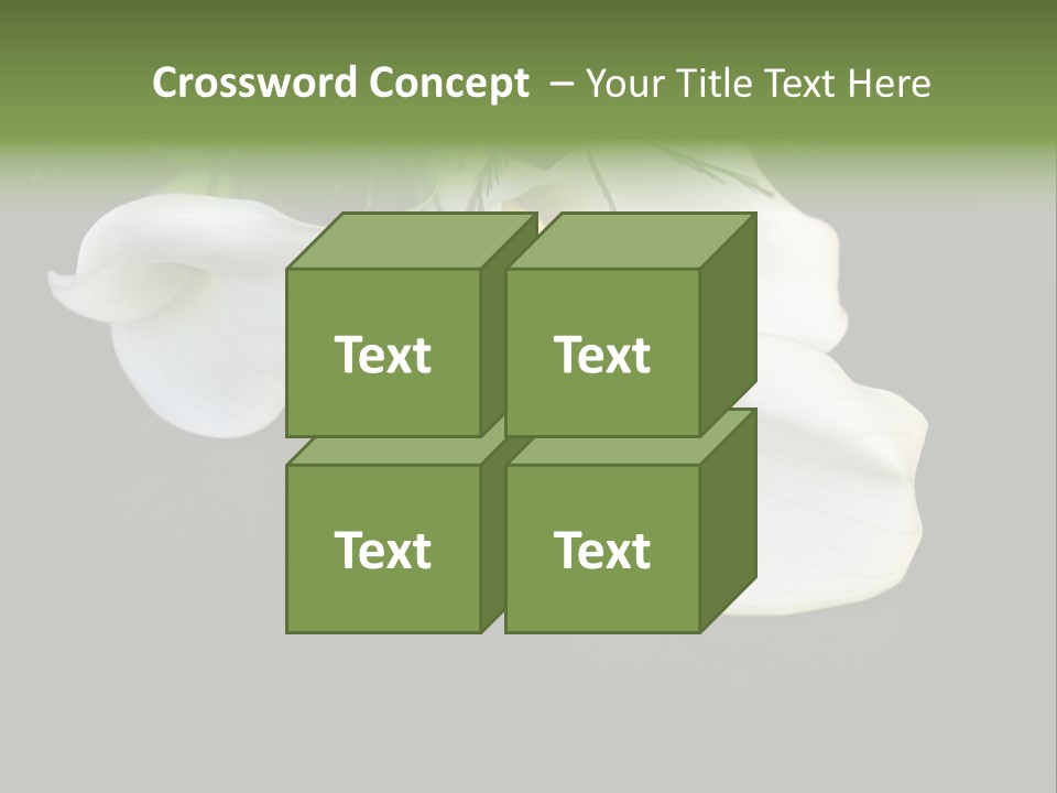 Callas Pflanze Weiss PowerPoint Template