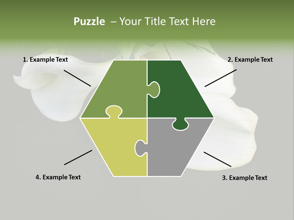 Callas Pflanze Weiss PowerPoint Template