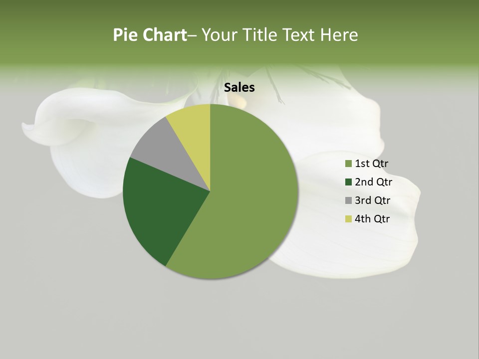 Callas Pflanze Weiss PowerPoint Template
