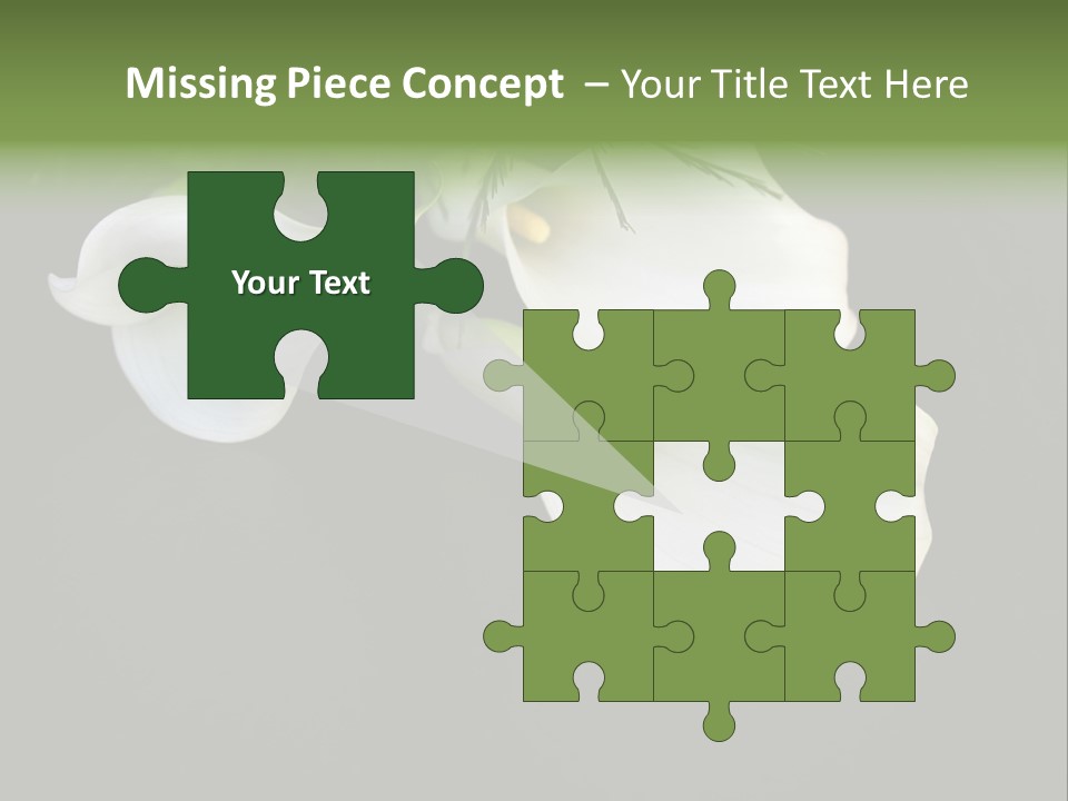 Callas Pflanze Weiss PowerPoint Template