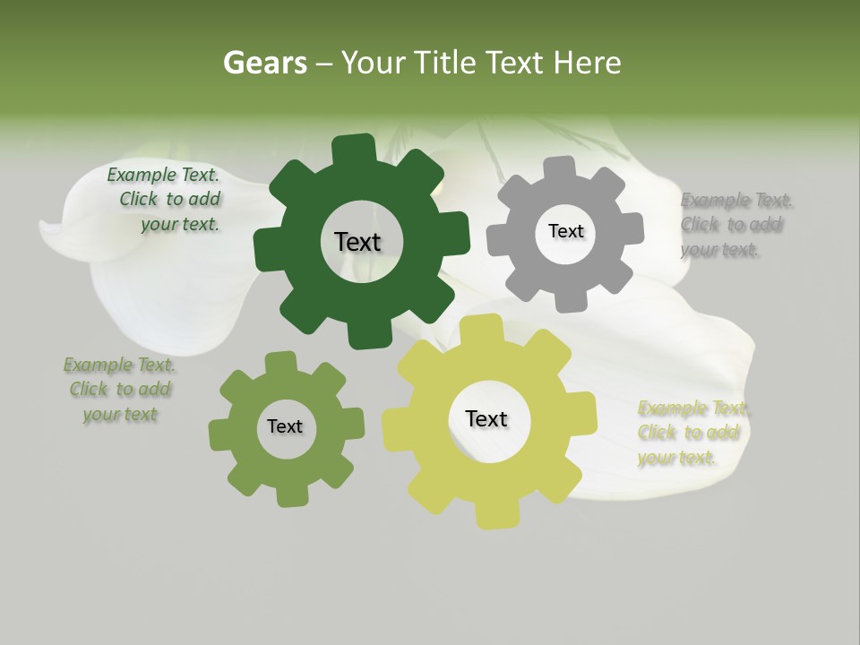 Callas Pflanze Weiss PowerPoint Template