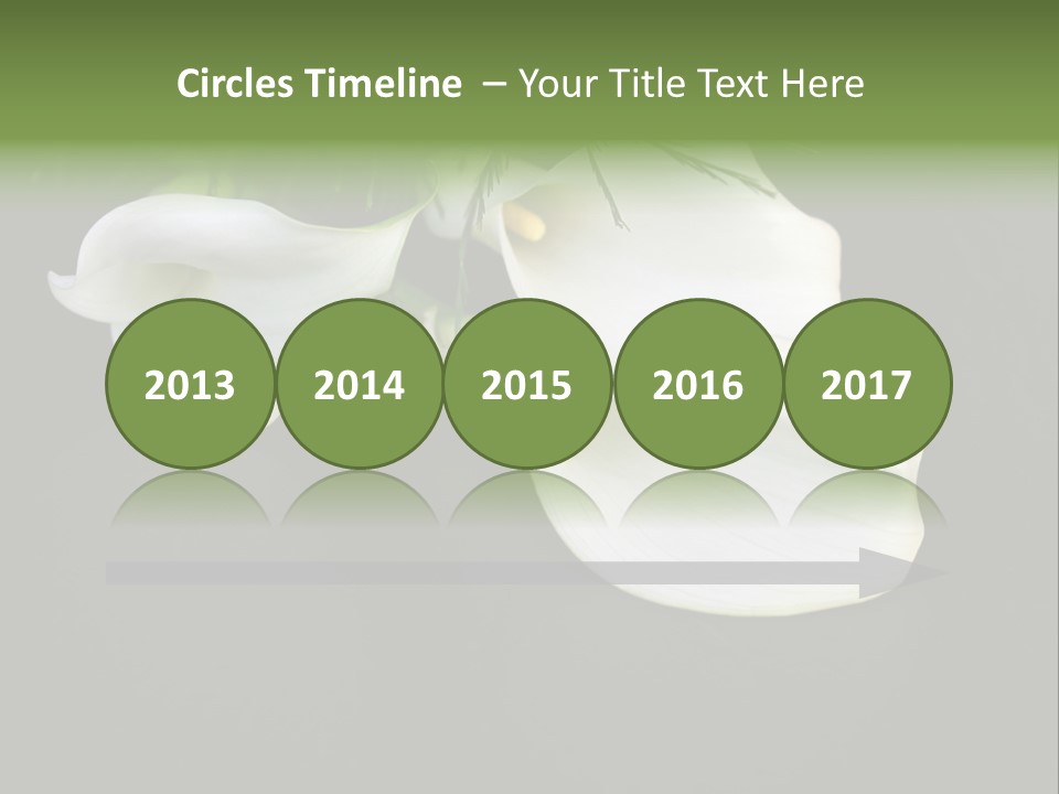 Callas Pflanze Weiss PowerPoint Template