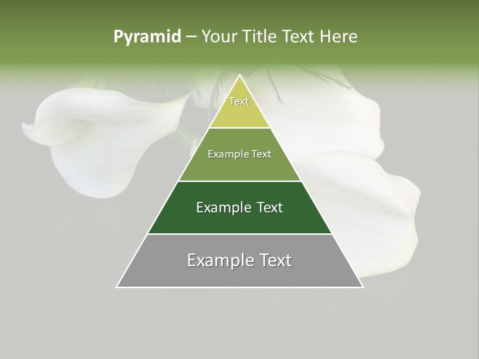 Callas Pflanze Weiss PowerPoint Template