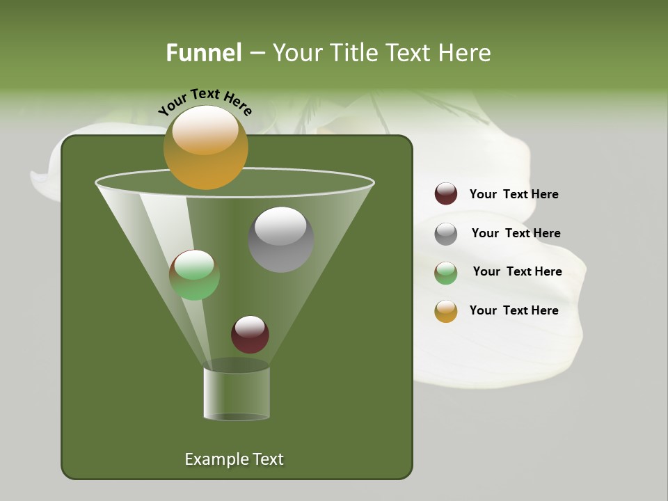 Callas Pflanze Weiss PowerPoint Template