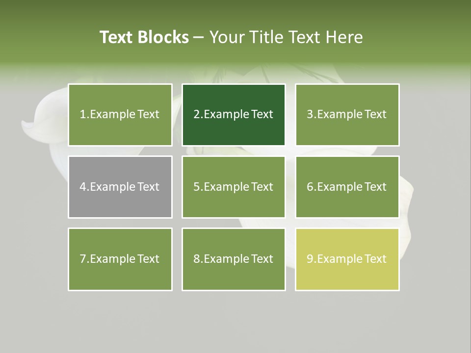 Callas Pflanze Weiss PowerPoint Template