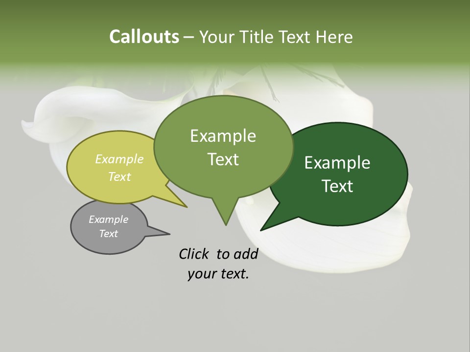Callas Pflanze Weiss PowerPoint Template
