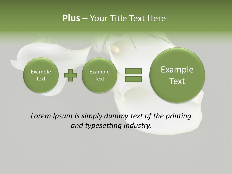 Callas Pflanze Weiss PowerPoint Template