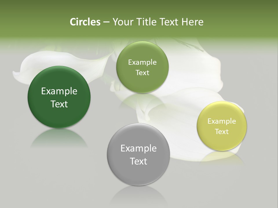 Callas Pflanze Weiss PowerPoint Template