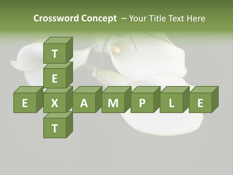 Callas Pflanze Weiss PowerPoint Template