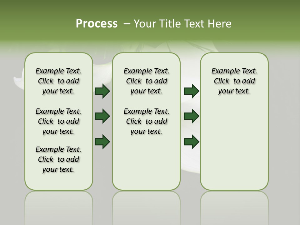 Callas Pflanze Weiss PowerPoint Template